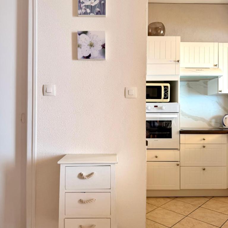 Le petit paradis avec vue mer-route des îles Sanguinaires - Appartement 1 Chambre - 21