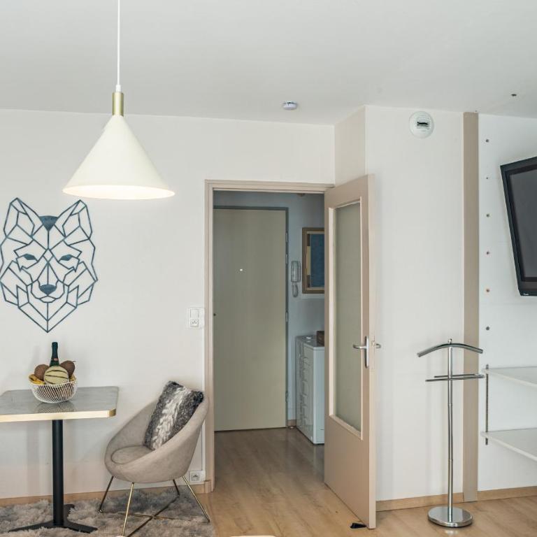 Voltaire Wolf - Confort - Centre-ville - Studio - 4