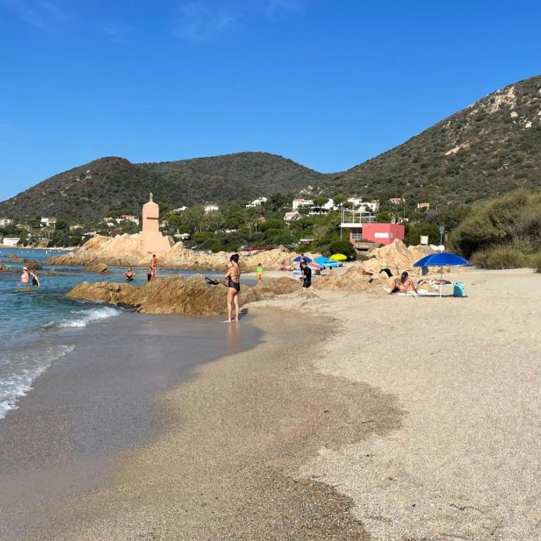 Le petit paradis avec vue mer-route des îles Sanguinaires - Appartement 1 Chambre - 33