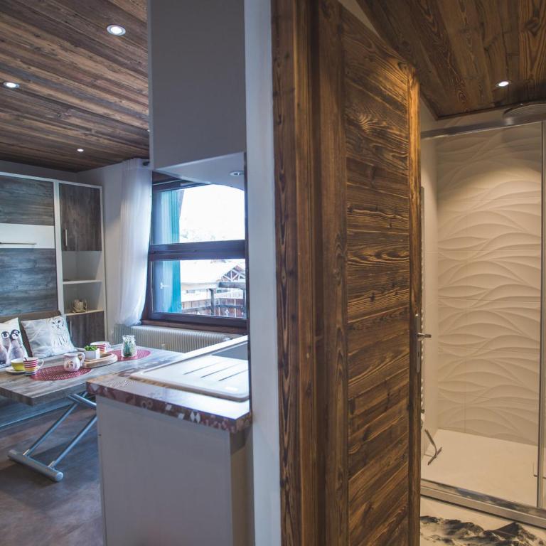 Charmant studio rénové au centre, près des pistes - Studio - 11