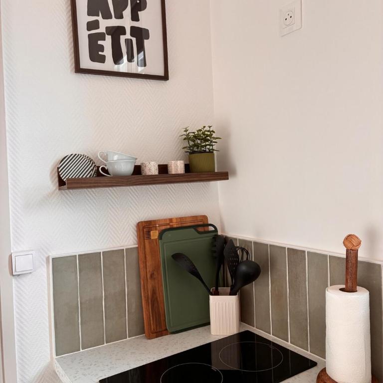 Vue château, Centre à pied, bord de Loire, Maison Commire - Appartement 1 Chambre - 16