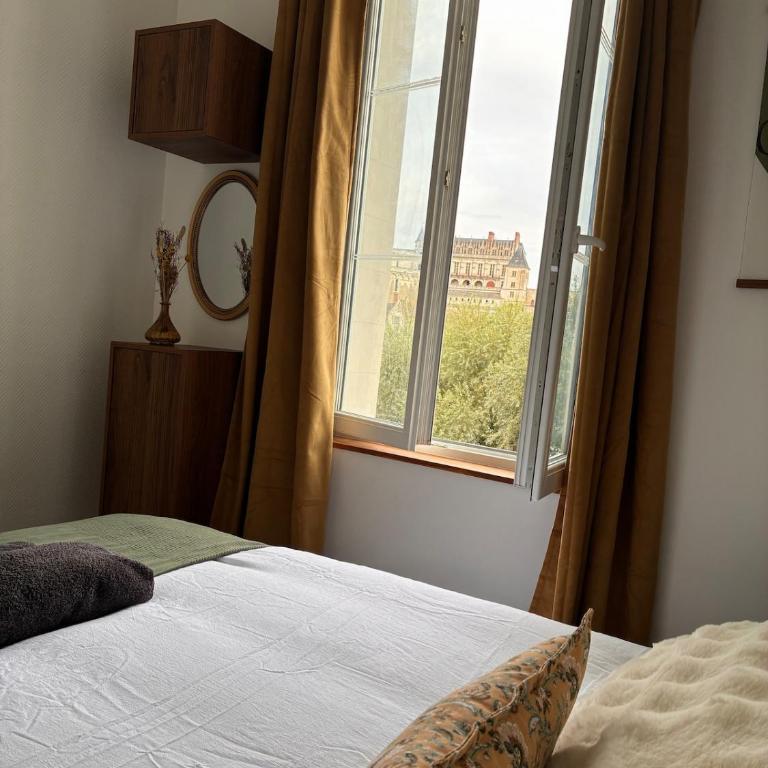 Vue château, Centre à pied, bord de Loire, Maison Commire - Appartement 1 Chambre - 21