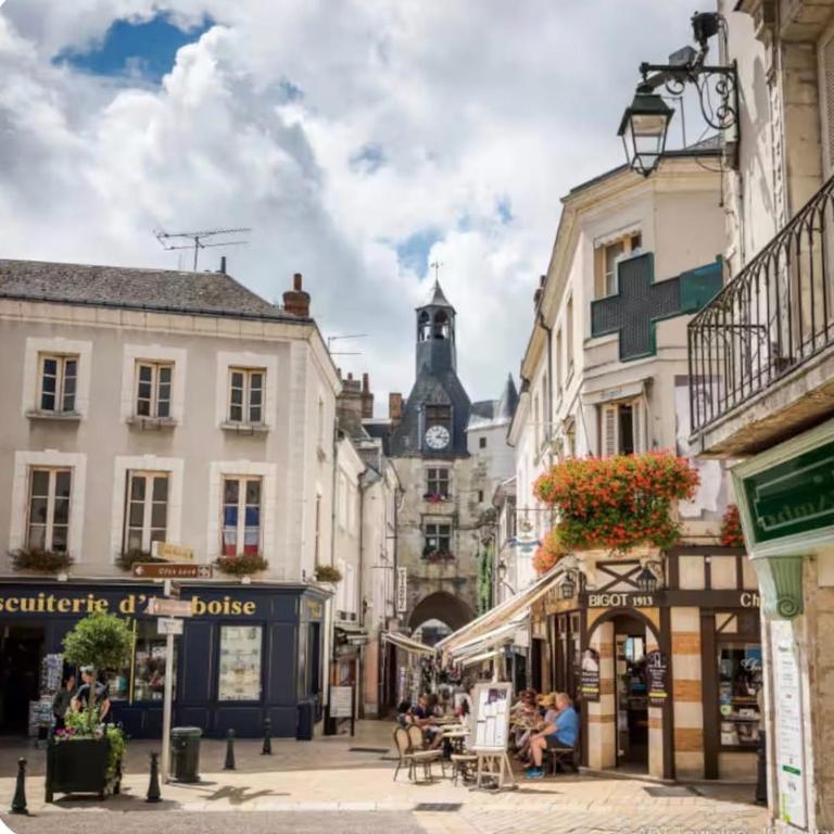 Vue château, Centre à pied, bord de Loire, Maison Commire - Appartement 1 Chambre - 26