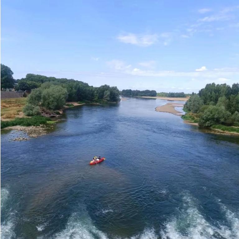 Vue château, Centre à pied, bord de Loire, Maison Commire - Appartement 1 Chambre - 29
