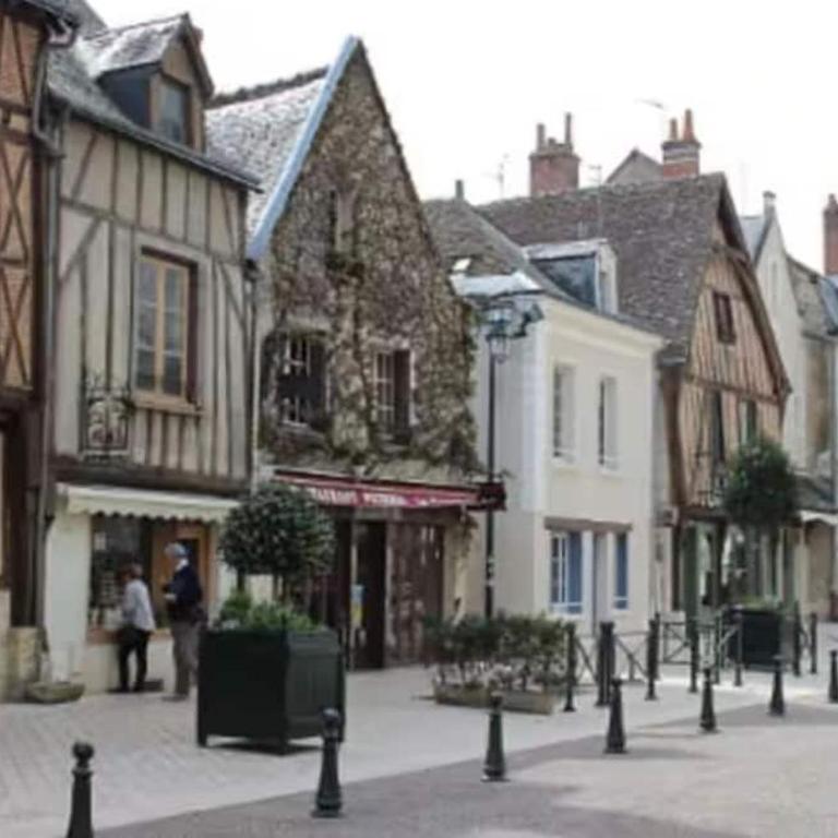 Vue château, Centre à pied, bord de Loire, Maison Commire - Appartement 1 Chambre - 31
