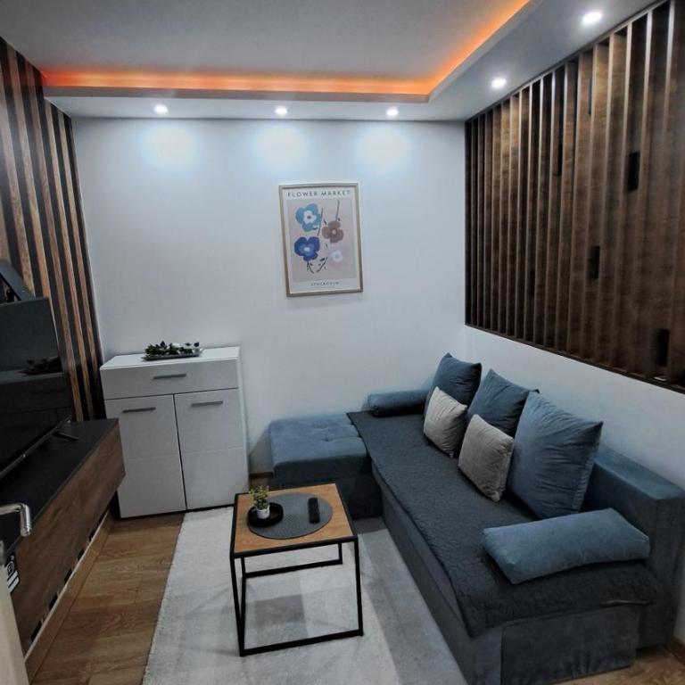 Apartman Brankovic - Apartman sa 1 Spavaćom Sobom - 28