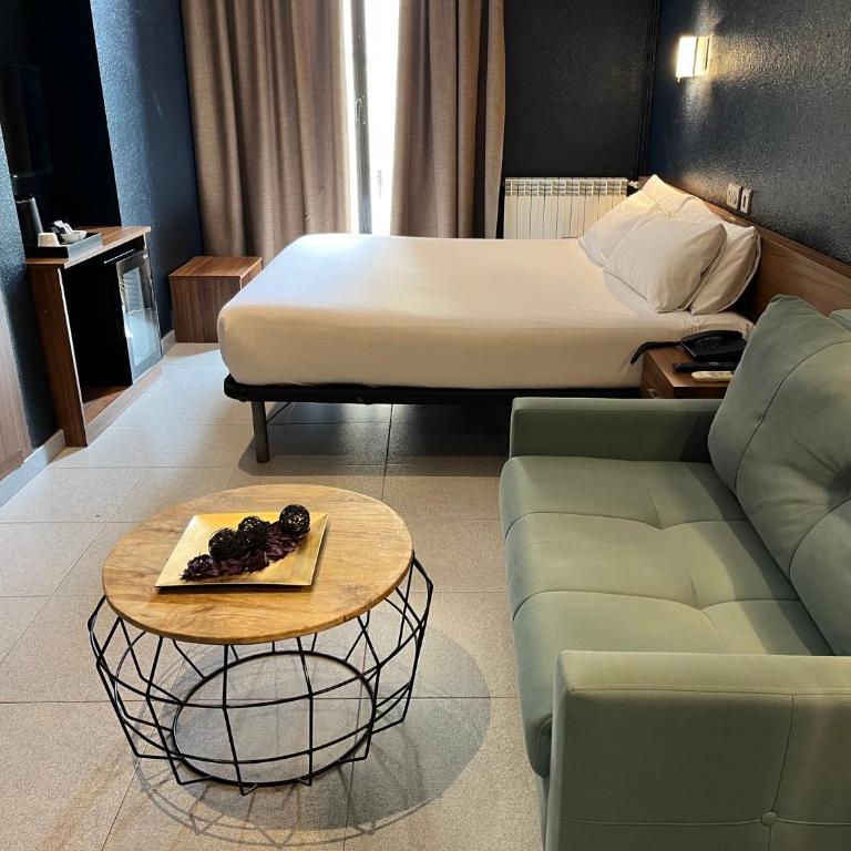 Hotel Aneto - Habitación Superior - 1 cama grande - 12
