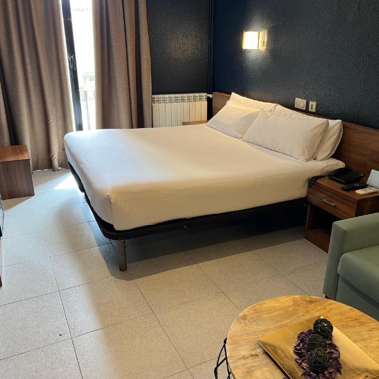 Hotel Aneto - Habitación Superior - 1 cama grande - 16