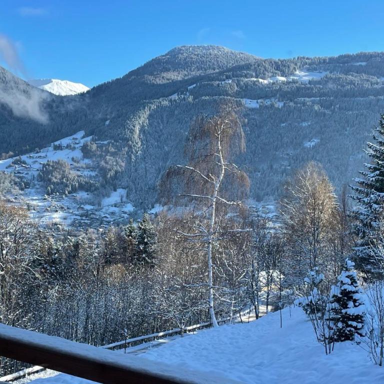 Chalet prestige Mont Blanc - Welkeys - Chalet - 61