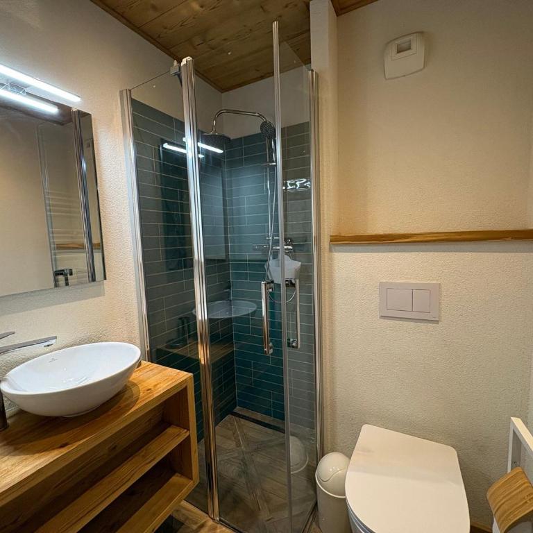 Appartement 3 pièces, 2 salles de bain, près des pistes, animaux acceptés - FR-1-293-281 - Apartment (6 Erwachsene) - 17