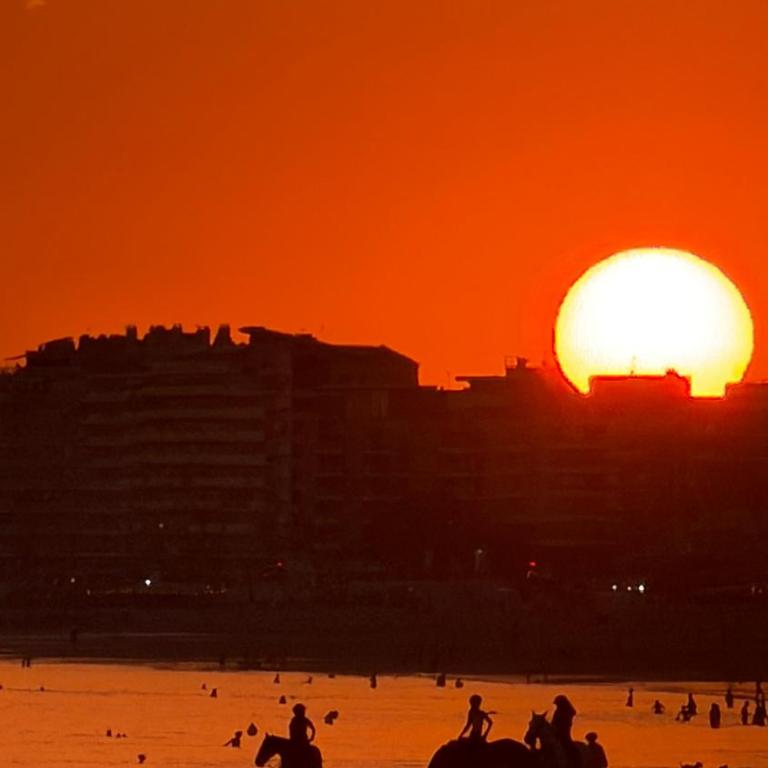 Les pieds dans le sable - Appartement 2 Chambres - 19