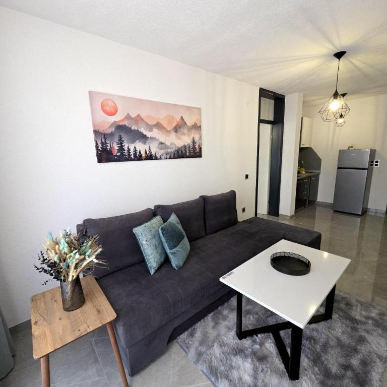 La Luna Apartments - One-Bedroom Apartment - 1