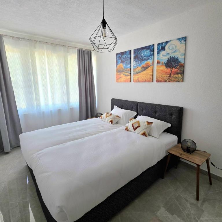 La Luna Apartments - One-Bedroom Apartment - 15