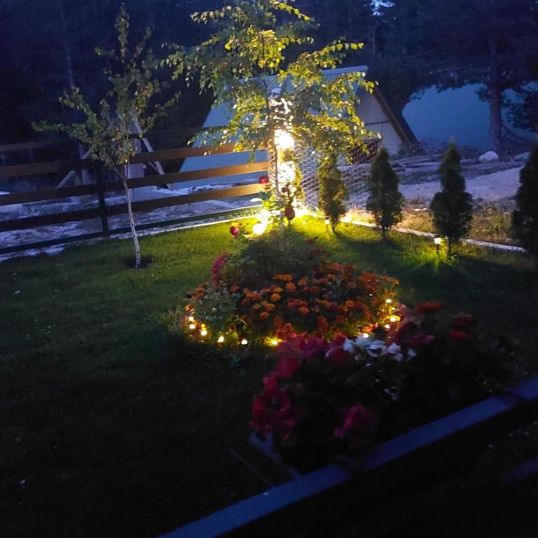 Vikendica Pine - Two-Bedroom House - 19