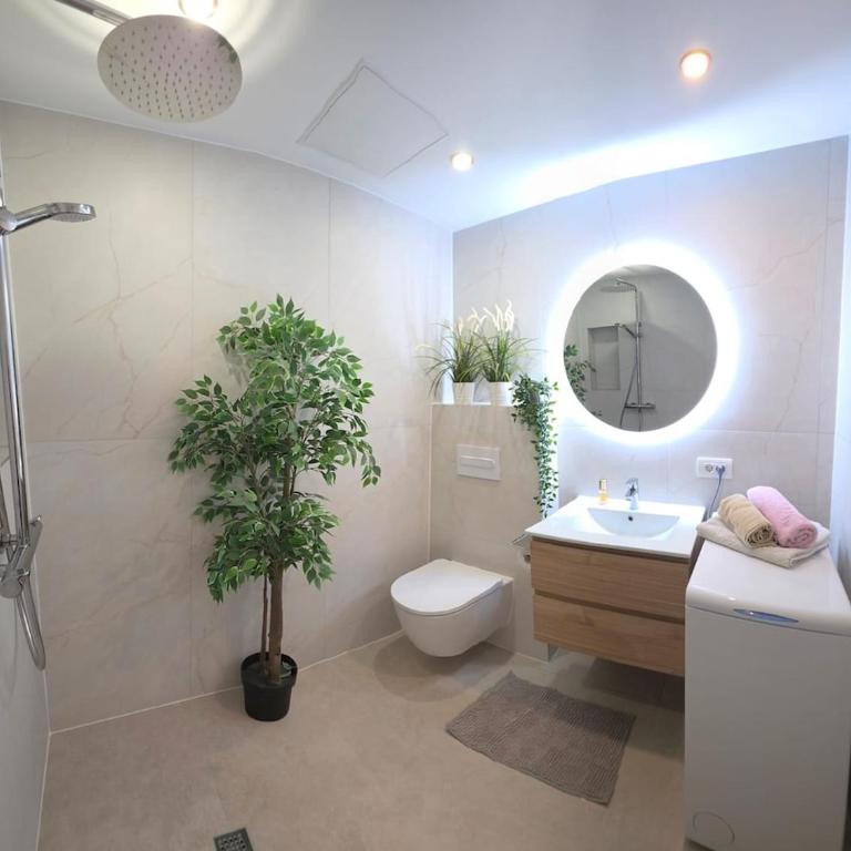 Joanna Gran Arona apartment los cristianos - Appartement 3 Chambres - 7