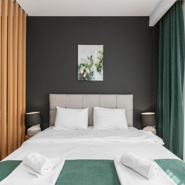 Field Apartments and SPA Kolasin - Studio sa Hidromasažnom Kadom - 8