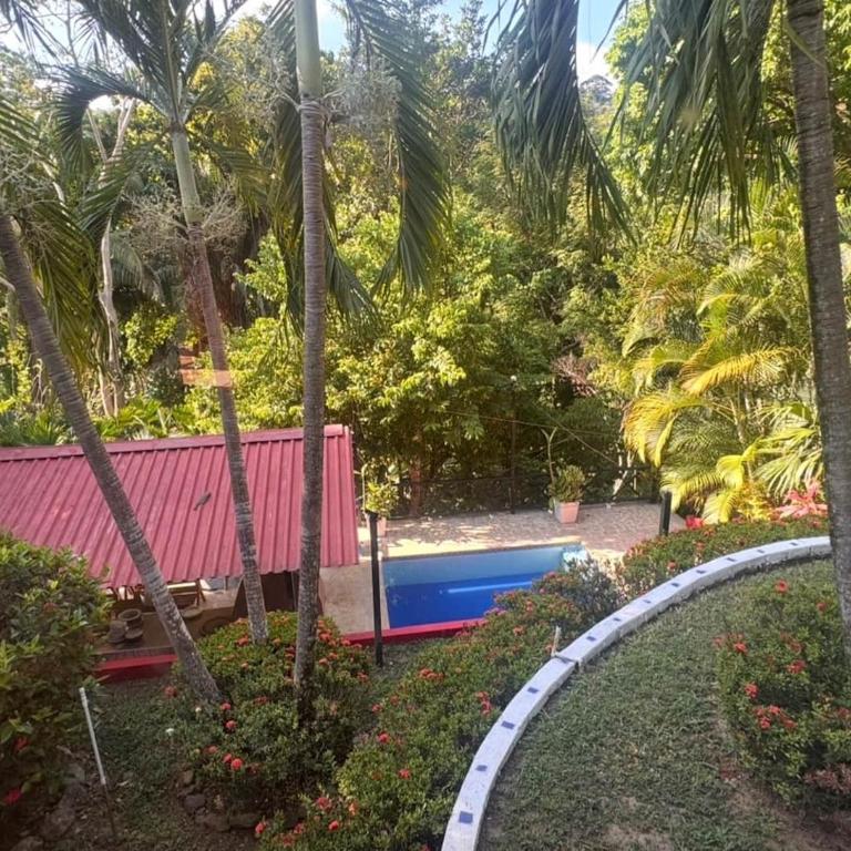 Casa de Mara - Private Mtn Villa, Pool, Near Minca - Casa de 4 dormitorios - 7