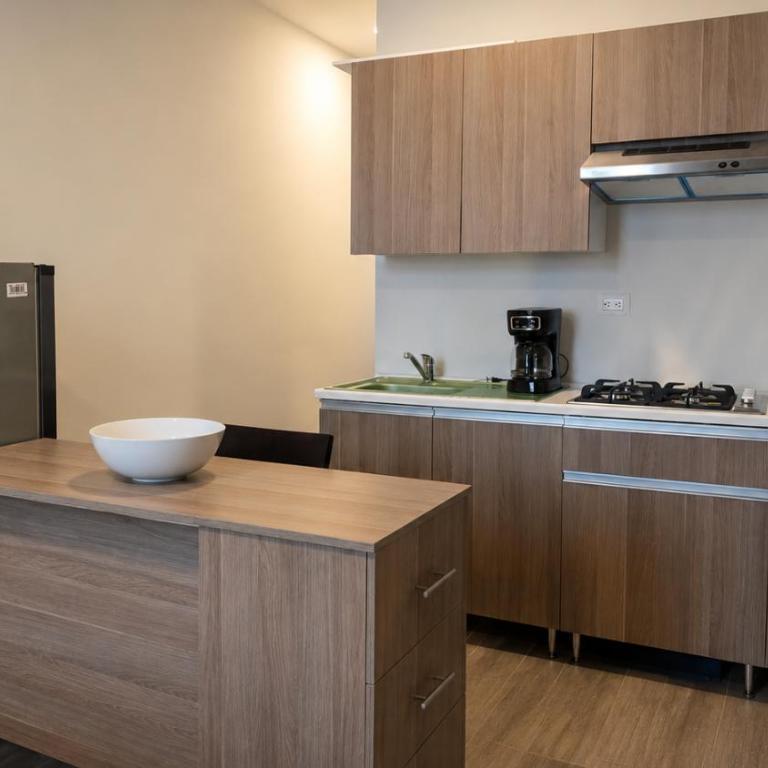 Colonia Executive Loft, fully equipped, gym & cowork - Apartamento de 1 dormitorio - 11