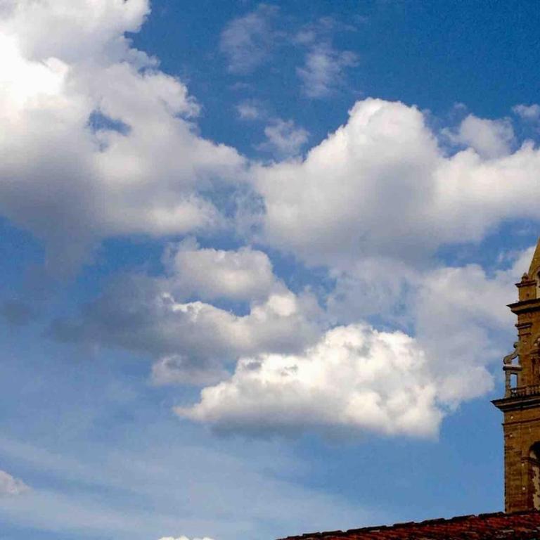 Panoramic apartment in the center of Florence! - One-Bedroom Apartment - 3