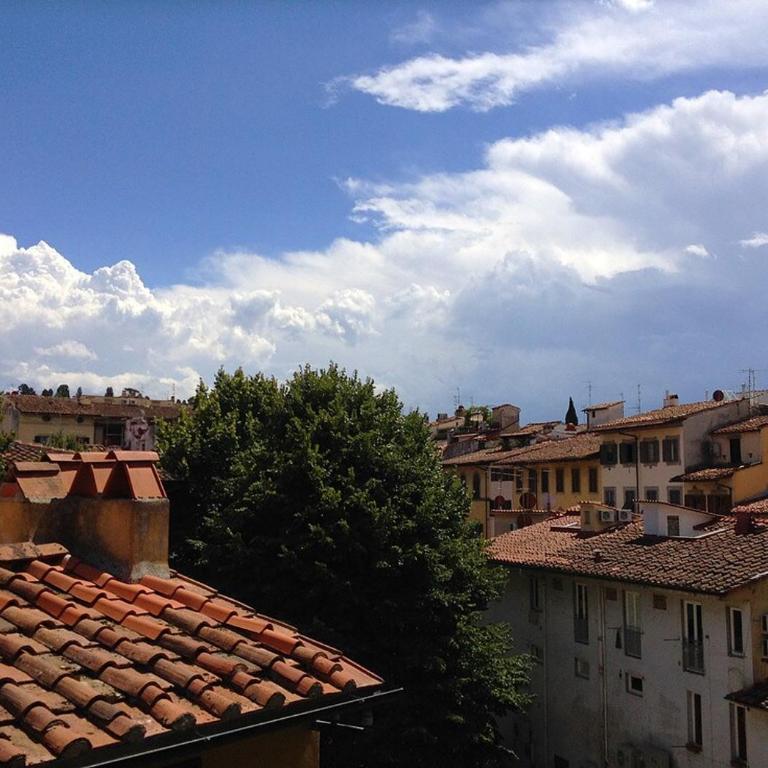 Panoramic apartment in the center of Florence! - One-Bedroom Apartment - 9