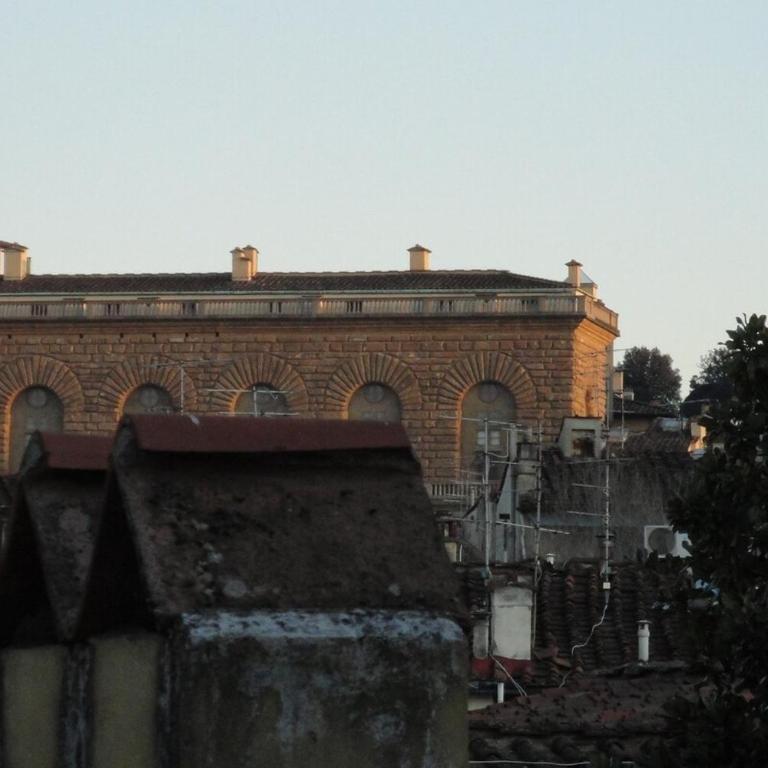 Panoramic apartment in the center of Florence! - One-Bedroom Apartment - 14