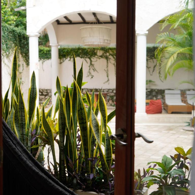 Frater Yucatán Hotel - Room #1024931007 - 5
