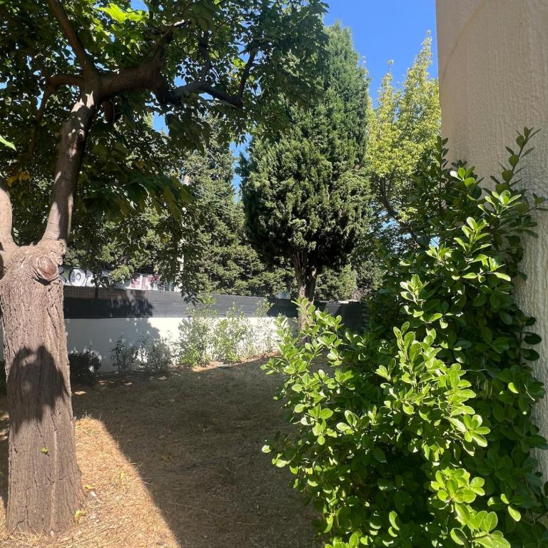 Epure Montpellier - Appartement neuf et chic avec grand jardin privé, Centre à pied - Deluxe Apartment mit 2 Schlafzimmern - 29