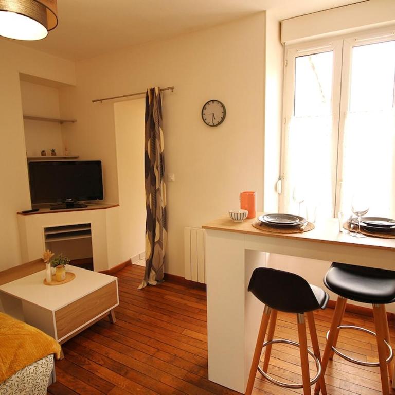 Quai 2 Gare Centre ville 24h du Mans - Appartement 1 Chambre - 10