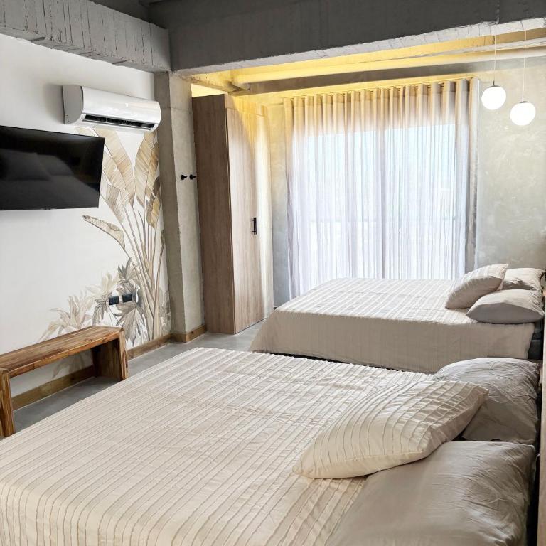  - Room #1715866203 - 1