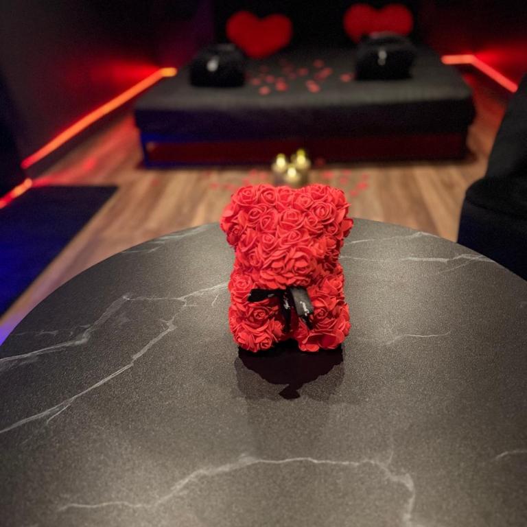 Le Secret des Ducs Love Room Jacuzzi Dijon - Appartamento con 1 Camera da Letto - 3