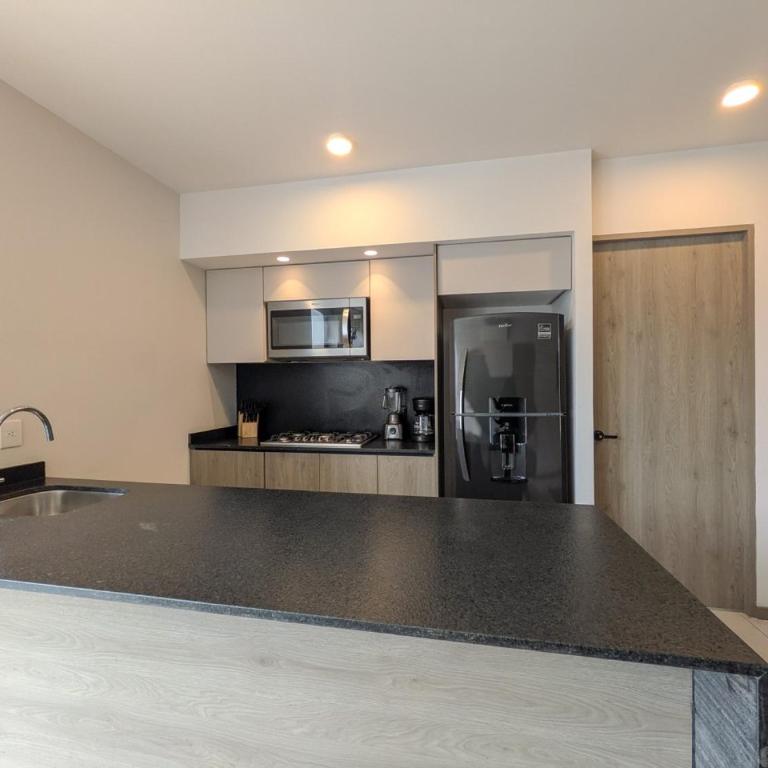 Increible nuevo depa por andares 310A - Apartment - 4
