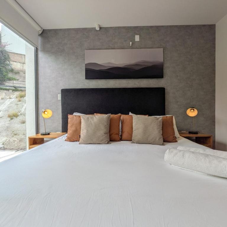 Increible nuevo depa por andares 310A - Apartment - 9