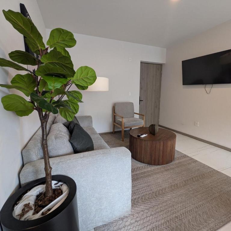 Increible nuevo depa por andares 310A - Apartment - 35