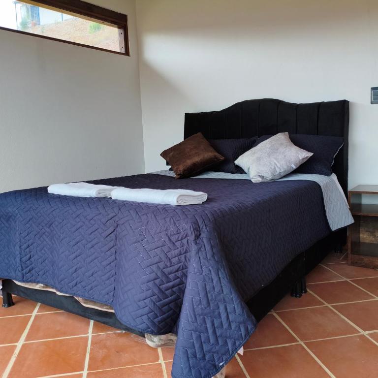  - Room #1715983601 - 2