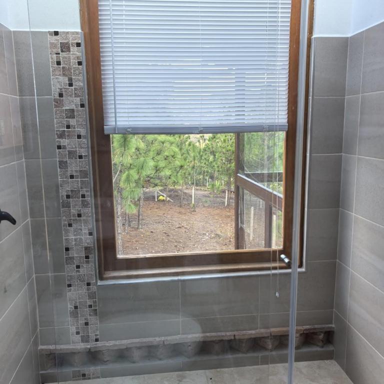 Entrepinos Villa Alegría - Suite Presidencial - 4