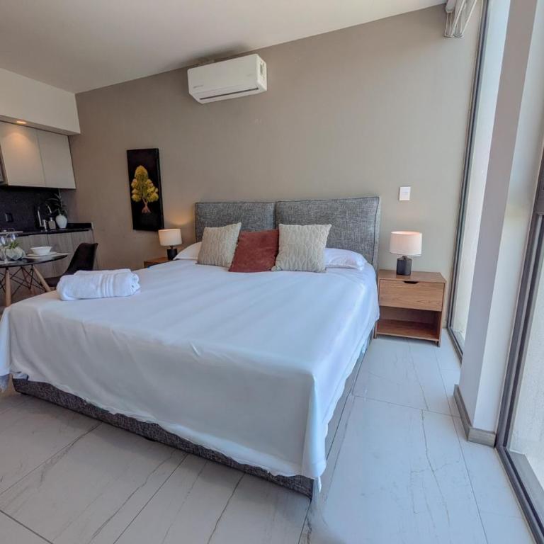 Gran Nuevo Depa por Andares (A) - Apartment - 12