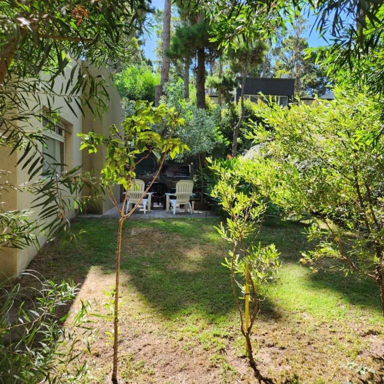 Olivo de Bohemia - Apartamento - 2