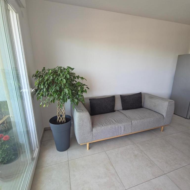 BEAU F2 Ajaccio - Appartement 1 Chambre - 2