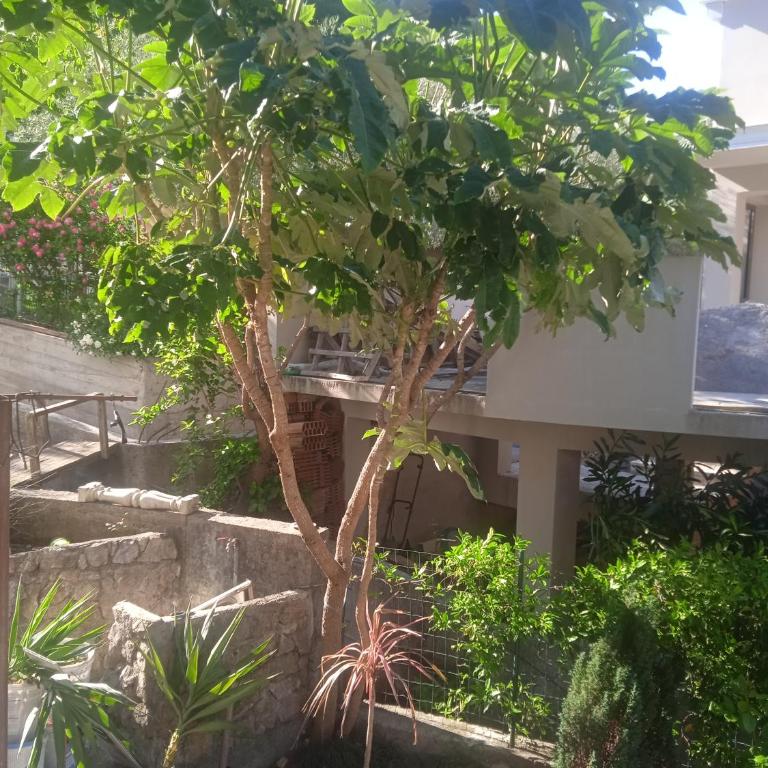 Apartman Aleksa - Appartement 2 Chambres - 28
