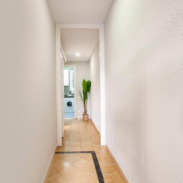 P1PAR1001 - Wonderfull aparment in Paralel - Apartamento - 5