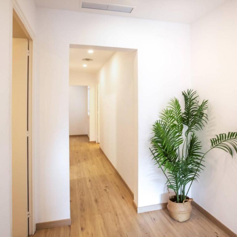 44PAA1129 - 3 Bedrooms in Gracia - Apartment - 11