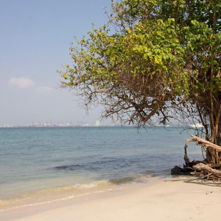 CASA BLANCA EN LA iSLA A 15 MIN DE CARTAGENA - Casa de 2 dormitorios - 7
