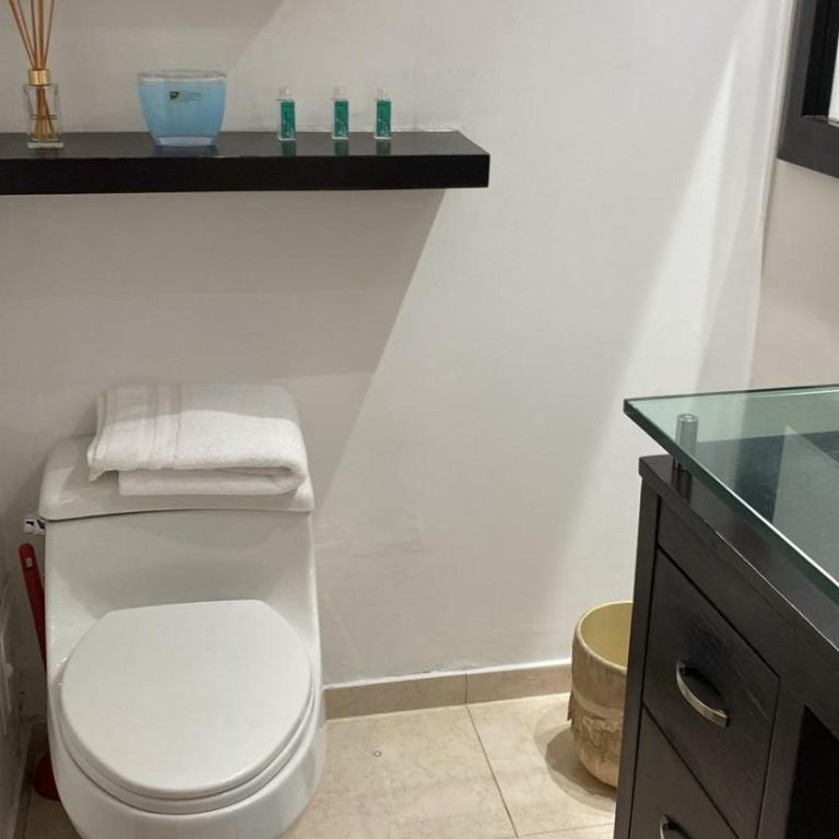 Furnished Luxury House Bogota - Casa con 1 dormitorio - 24