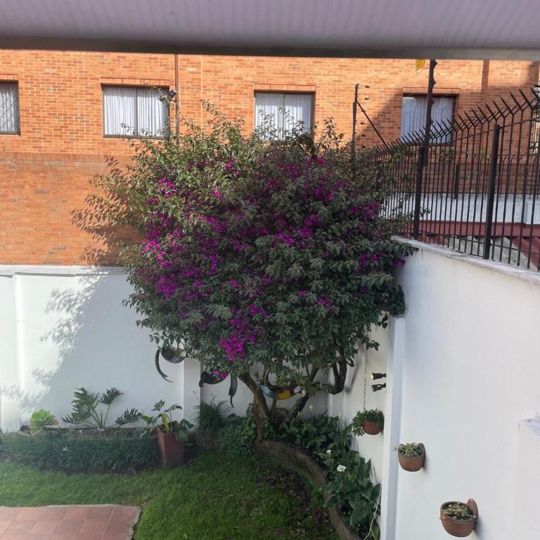 Furnished Luxury House Bogota - Casa con 1 dormitorio - 26