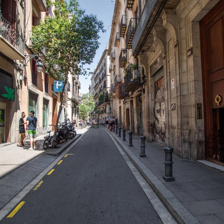 P2amp1057 - Magnific 3BR apartment in the Gotic - Apartamento - 27