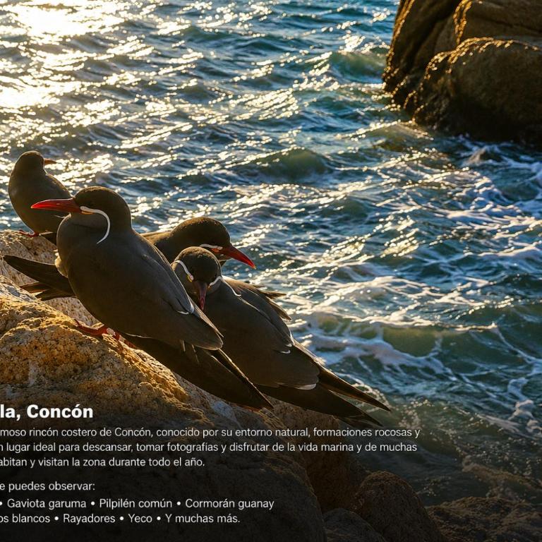 Euromarina 1,Espectacular vista ! Playa Cochoa - Apartamento de 2 dormitorios - 47