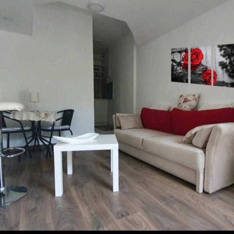 Zvrndo - One-Bedroom Apartment - 3