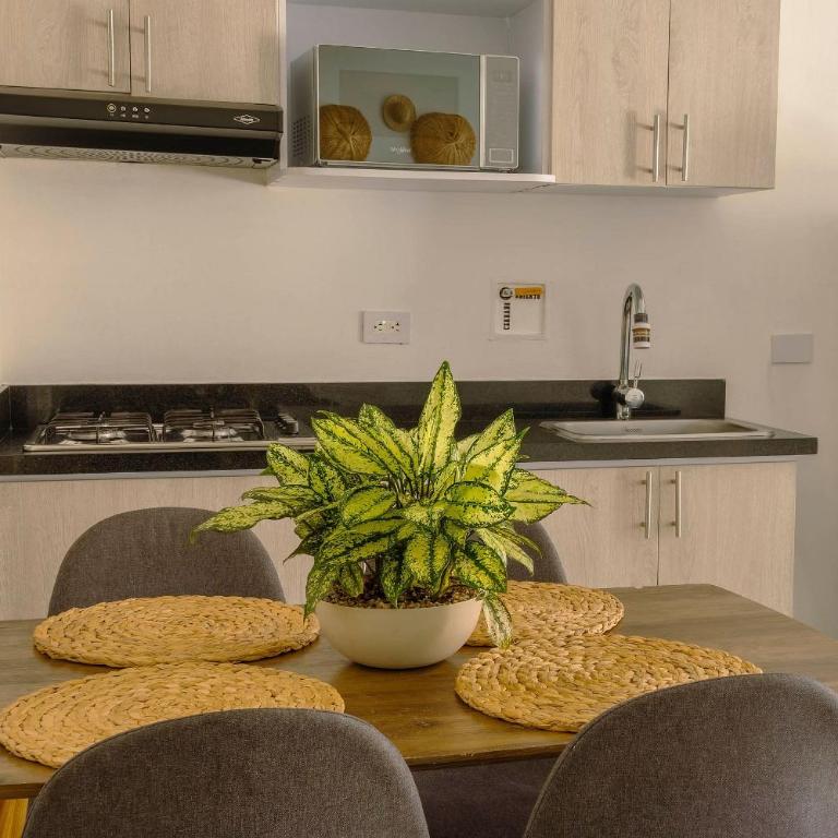 Tranvia 40 - Amoblados Velasquez - Apartamento con ducha - 7
