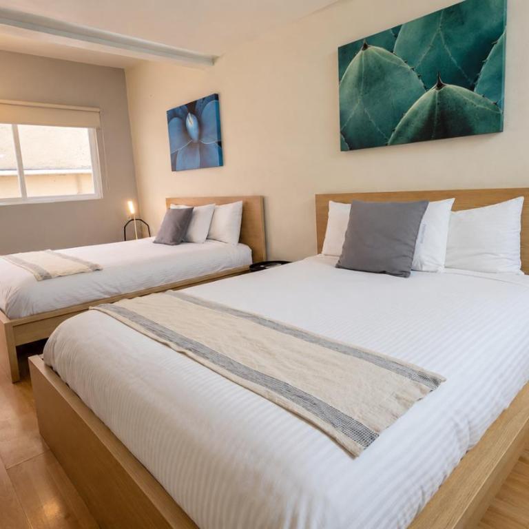 Casa Condesa Amatlan 84 Hotel by Riberana - Habitación Doble - 2 camas dobles - 1