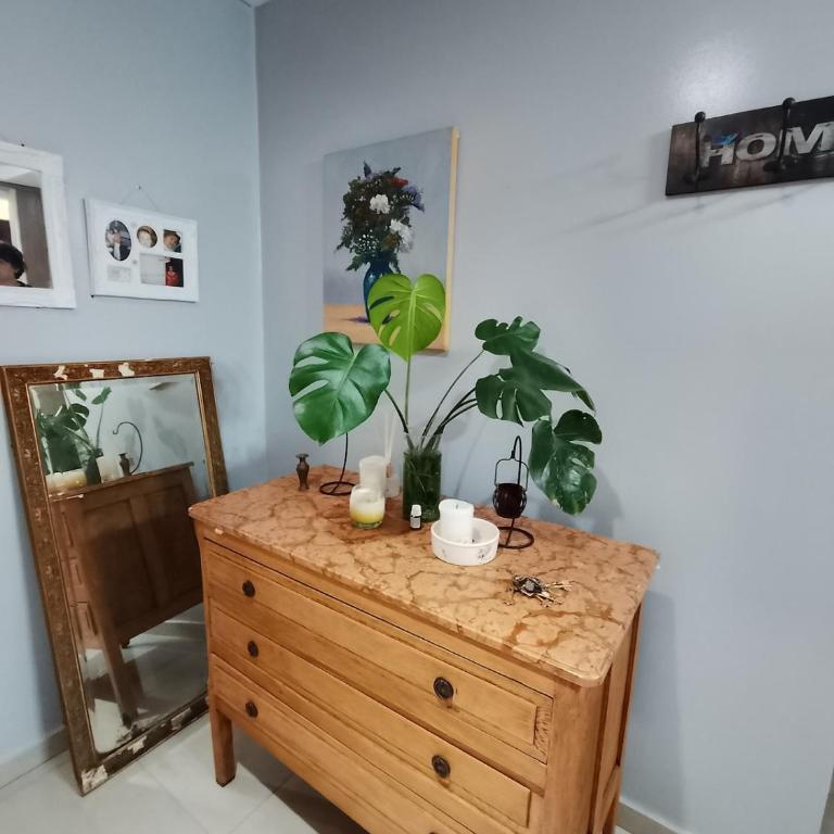 Luz de Santiago - Refugio del Estero - Apartamento de 2 dormitorios - 4